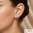 Set Gato en microzircones cover gold Topos.webp