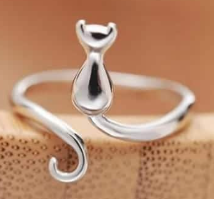 ANILLO COVERSILVER 